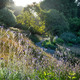 Hillside dawn
